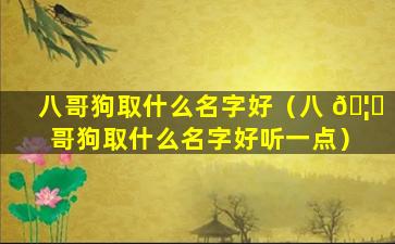 八哥狗取什么名字好（八 🦟 哥狗取什么名字好听一点）